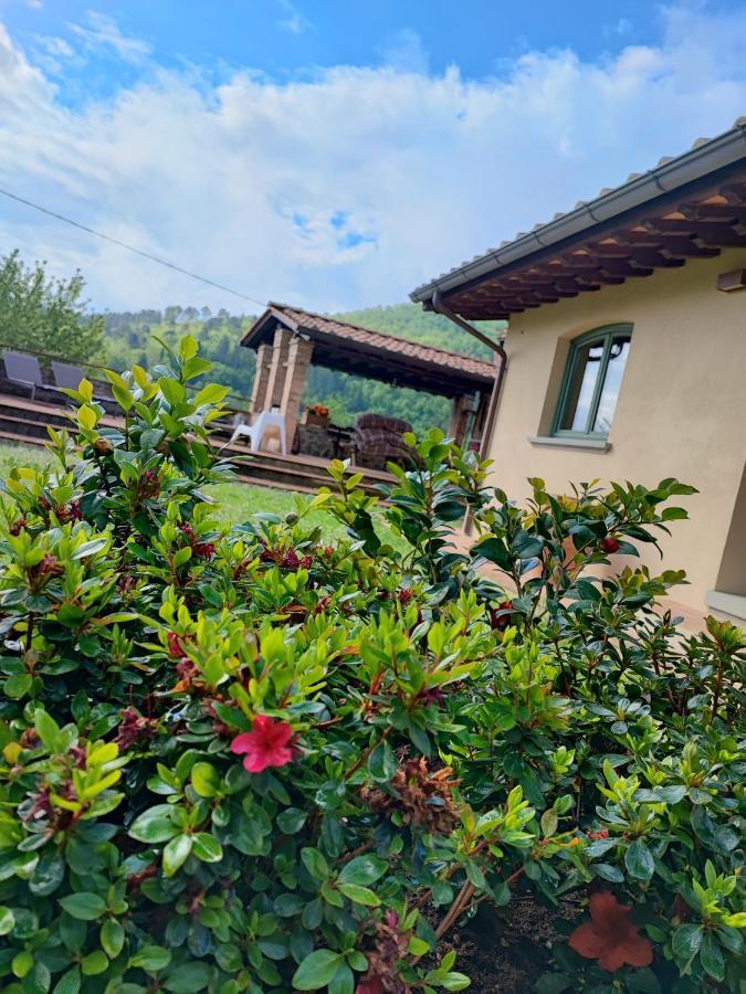 سترادا Villa Giulia Fashion B&B المظهر الخارجي الصورة